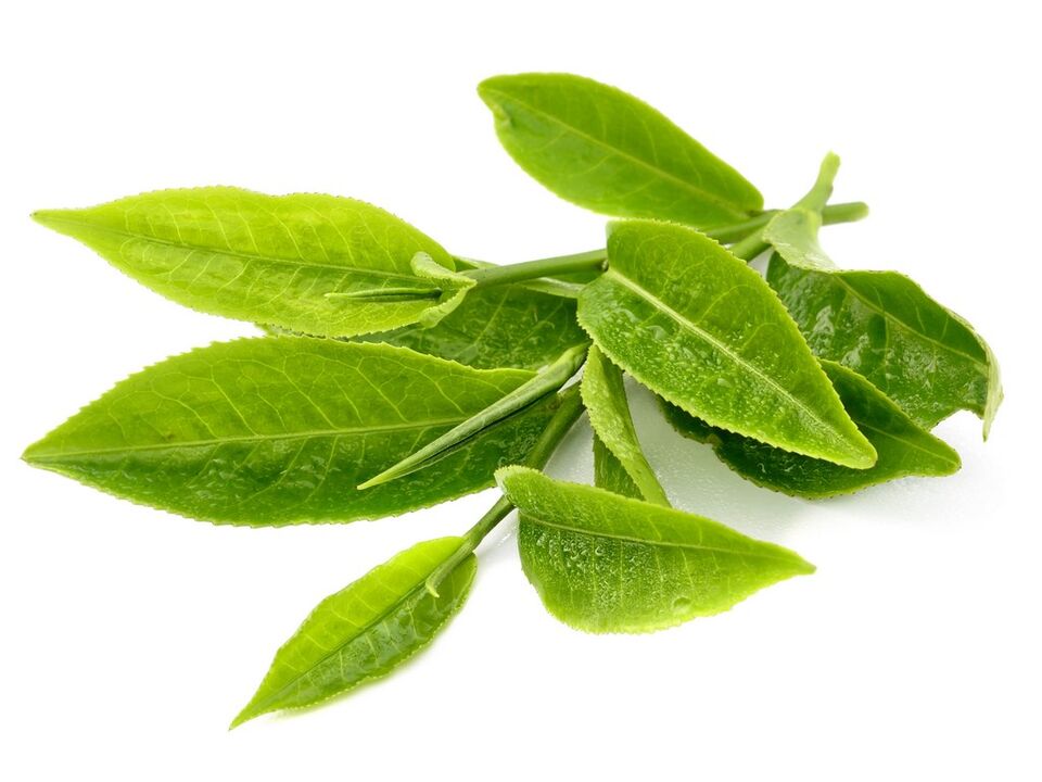 green tea at Keto Matcha